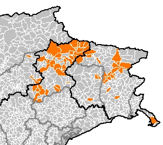 Aggiornamenti sulla diffusione della rabbia nel Nord-Est